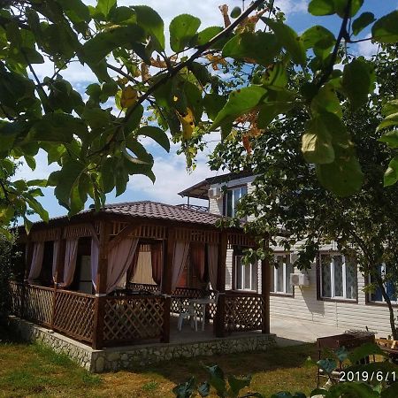 Бархат تساندريبش المظهر الخارجي الصورة